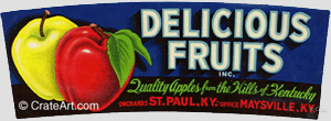 DELICIOUS FRUITS (A) #2