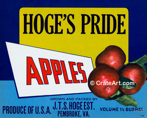 HOGE'S PRIDE (A)