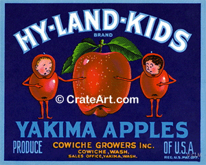 HY-LAND-KIDS (A) #1