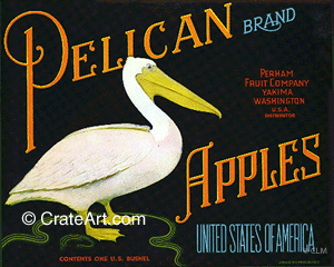 PELICAN (A) #2