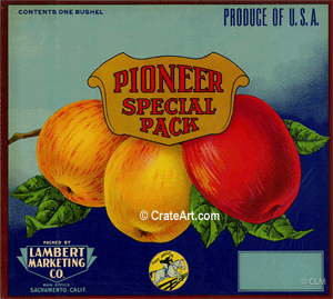 PIONEER SPECIAL (A)